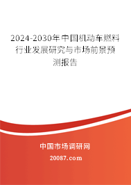 2024-2030年中国机动车燃料行业发展研究与市场前景预测报告