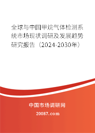 全球与中国甲烷气体检测系统市场现状调研及发展趋势研究报告（2024-2030年）