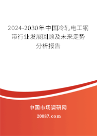 2024-2030年中国冷轧电工钢带行业发展回顾及未来走势分析报告