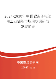 2024-2030年中国锂离子电池用工业储能市场现状调研与发展前景