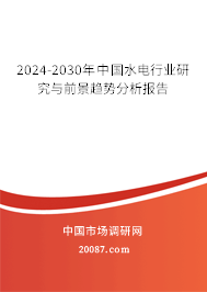 2024-2030年中国水电行业研究与前景趋势分析报告