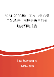 2024-2030年中国推力调心滚子轴承行业市场分析与前景趋势预测报告