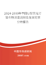 2024-2030年中国U型荧光灯管市场深度调研及发展前景分析报告