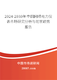 2024-2030年中国网络电力仪表市场研究分析与前景趋势报告