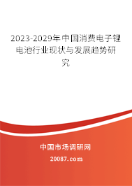 2023-2029年中国消费电子锂电池行业现状与发展趋势研究