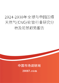 2024-2030年全球与中国压缩天然气(CNG)软管行业研究分析及前景趋势报告