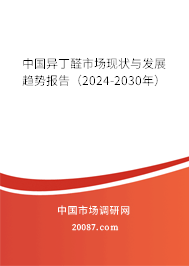 中国异丁醛市场现状与发展趋势报告（2024-2030年）