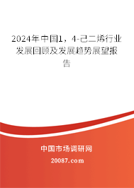 2024年中国1，4-己二烯行业发展回顾及发展趋势展望报告