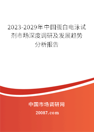 2023-2029年中国蛋白电泳试剂市场深度调研及发展趋势分析报告