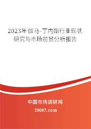 2023年伽马-丁内酯行业现状研究与市场前景分析报告