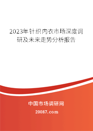 2023年针织内衣市场深度调研及未来走势分析报告