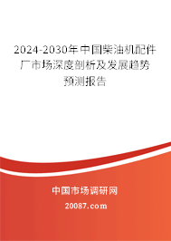 2024-2030年中国柴油机配件厂市场深度剖析及发展趋势预测报告