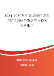 2024-2030年中国城市轮渡市场现状调研与发展前景趋势分析报告