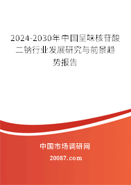 2024-2030年中国呈味核苷酸二钠行业发展研究与前景趋势报告