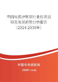 中国电弧炉炼钢行业现状调研及发展趋势分析报告（2024-2030年）