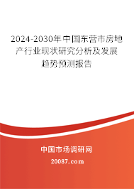 2024-2030年中国东营市房地产行业现状研究分析及发展趋势预测报告