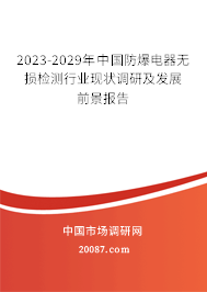 2023-2029年中国防爆电器无损检测行业现状调研及发展前景报告