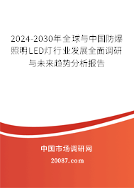 2024-2030年全球与中国防爆照明LED灯行业发展全面调研与未来趋势分析报告