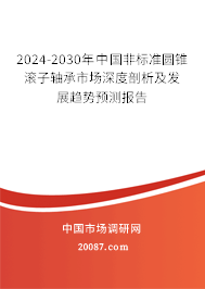 2024-2030年中国非标准圆锥滚子轴承市场深度剖析及发展趋势预测报告