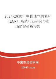 2024-2030年中国废气再循环（EGR）系统行业研究与市场前景分析报告