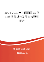 2024-2030年中国固蓝BB行业市场分析与发展趋势预测报告