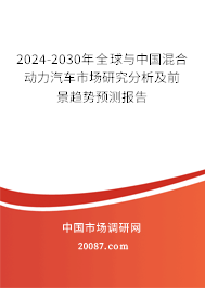 2024-2030年全球与中国混合动力汽车市场研究分析及前景趋势预测报告