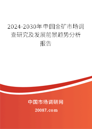 2024-2030年中国金矿市场调查研究及发展前景趋势分析报告