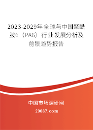 2023-2029年全球与中国聚酰胺6（PA6）行业发展分析及前景趋势报告