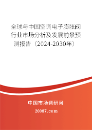 全球与中国空调电子膨胀阀行业市场分析及发展前景预测报告（2024-2030年）