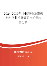 2024-2030年中国锂电池正极材料行业发展调研与前景趋势分析