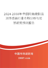 2024-2030年中国轮胎磨损监测传感器行业市场分析与前景趋势预测报告