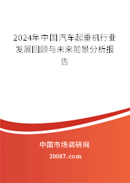 2024年中国汽车起重机行业发展回顾与未来前景分析报告