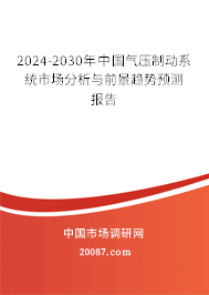 2024-2030年中国气压制动系统市场分析与前景趋势预测报告