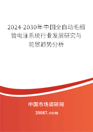 2024-2030年中国全自动毛细管电泳系统行业发展研究与前景趋势分析