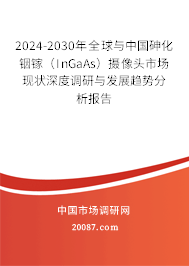 2024-2030年全球与中国砷化铟镓（InGaAs）摄像头市场现状深度调研与发展趋势分析报告