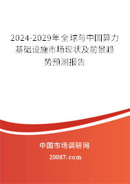 2024-2029年全球与中国算力基础设施市场现状及前景趋势预测报告