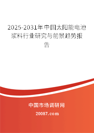2025-2031年中国太阳能电池浆料行业研究与前景趋势报告 2025-2031年中国太阳能电池浆料行业研究与前景趋势报告