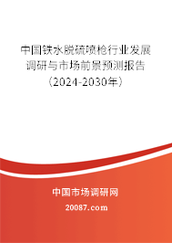 中国铁水脱硫喷枪行业发展调研与市场前景预测报告（2024-2030年）