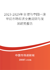 2023-2029年全球与中国一溴甲烷市场现状全面调研与发展趋势报告