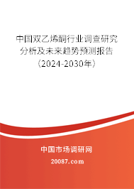 中国双乙烯酮行业调查研究分析及未来趋势预测报告（2024-2030年）