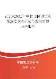 2025-2031年中国专网通信市场深度调查研究与发展前景分析报告 2025-2031年中国专网通信市场深度调查研究与发展前景分析报告
