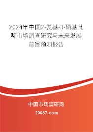 2024年中国2-氨基-3-硝基吡啶市场调查研究与未来发展前景预测报告