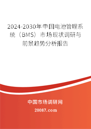 2024-2030年中国电池管理系统（BMS）市场现状调研与前景趋势分析报告