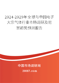 2024-2029年全球与中国电子大宗气体行业市场调研及前景趋势预测报告