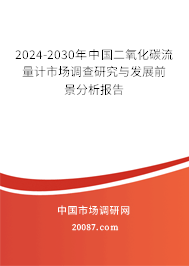 2024-2030年中国二氧化碳流量计市场调查研究与发展前景分析报告