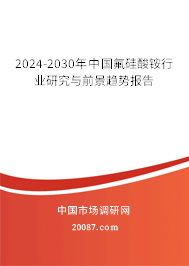 2024-2030年中国氟硅酸铵行业研究与前景趋势报告