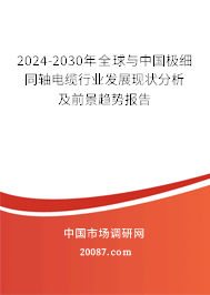 2024-2030年全球与中国极细同轴电缆行业发展现状分析及前景趋势报告