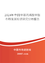 2024年中国甲基丙烯酸甲酯市场发展现状研究分析报告