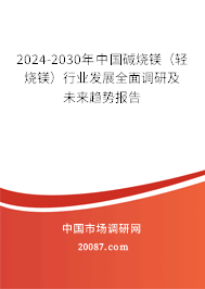 2024-2030年中国碱烧镁（轻烧镁）行业发展全面调研及未来趋势报告