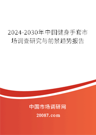 2024-2030年中国健身手套市场调查研究与前景趋势报告